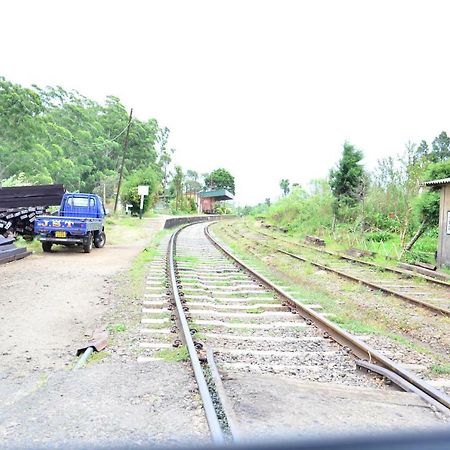Yensfield Blackpool Nuwara Eliya Exteriör bild