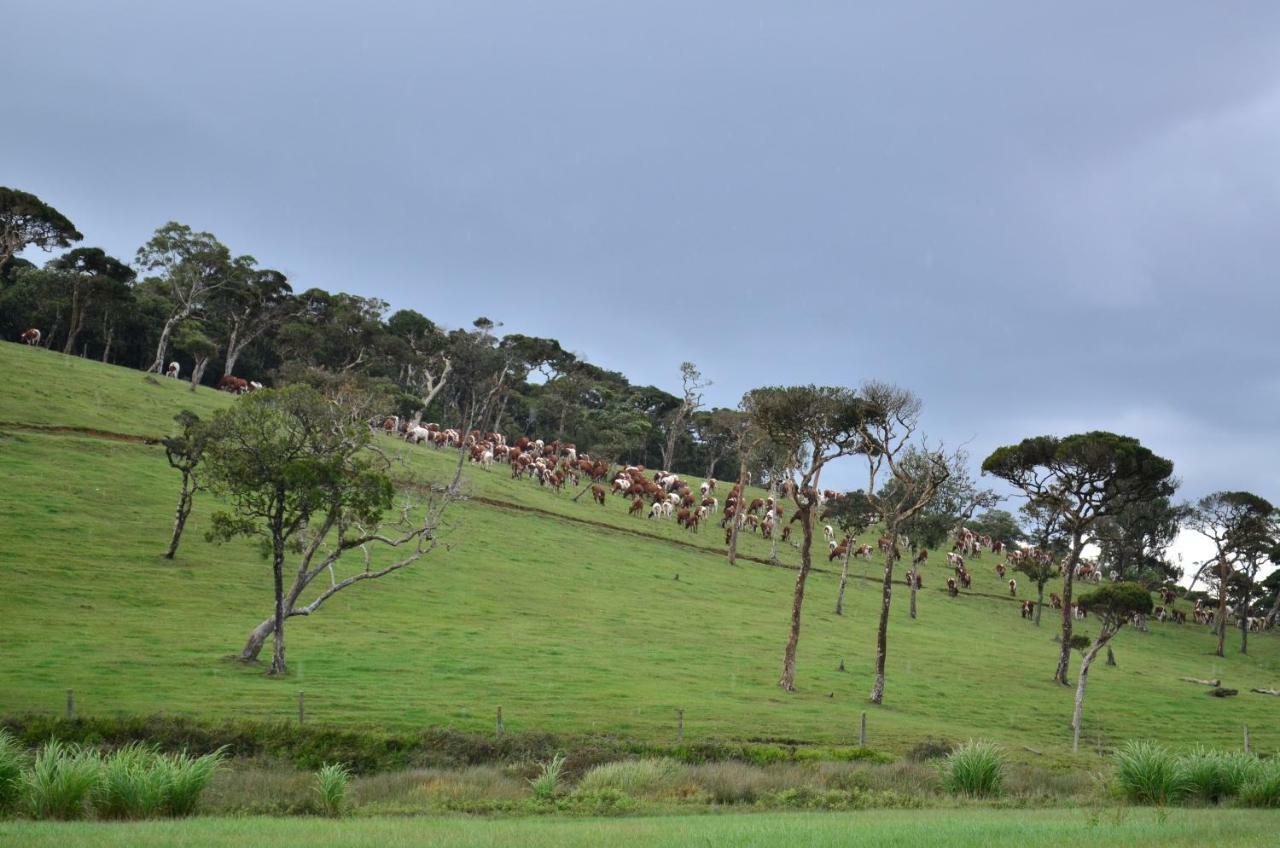 Yensfield Blackpool Nuwara Eliya Exteriör bild