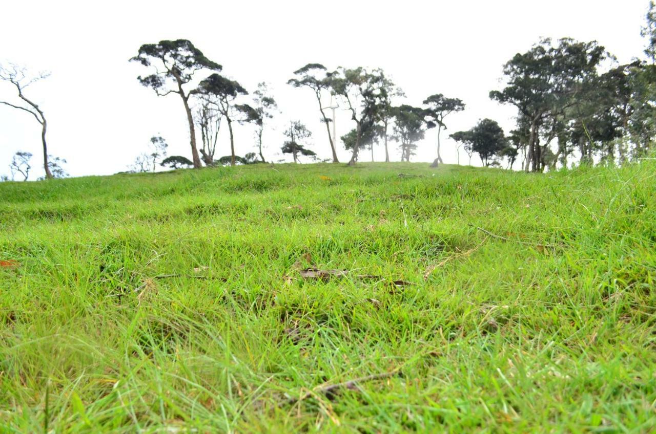 Yensfield Blackpool Nuwara Eliya Exteriör bild
