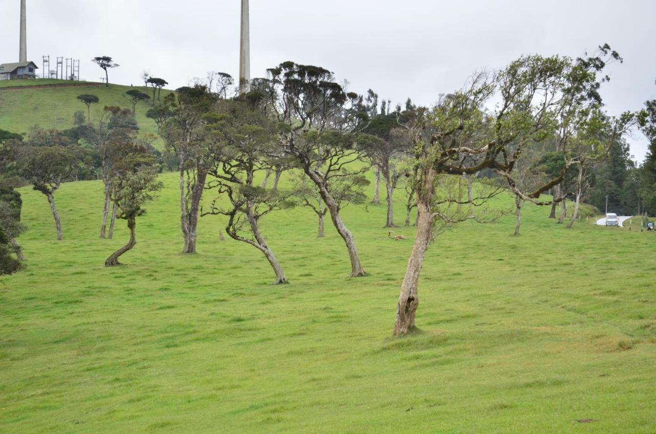 Yensfield Blackpool Nuwara Eliya Exteriör bild