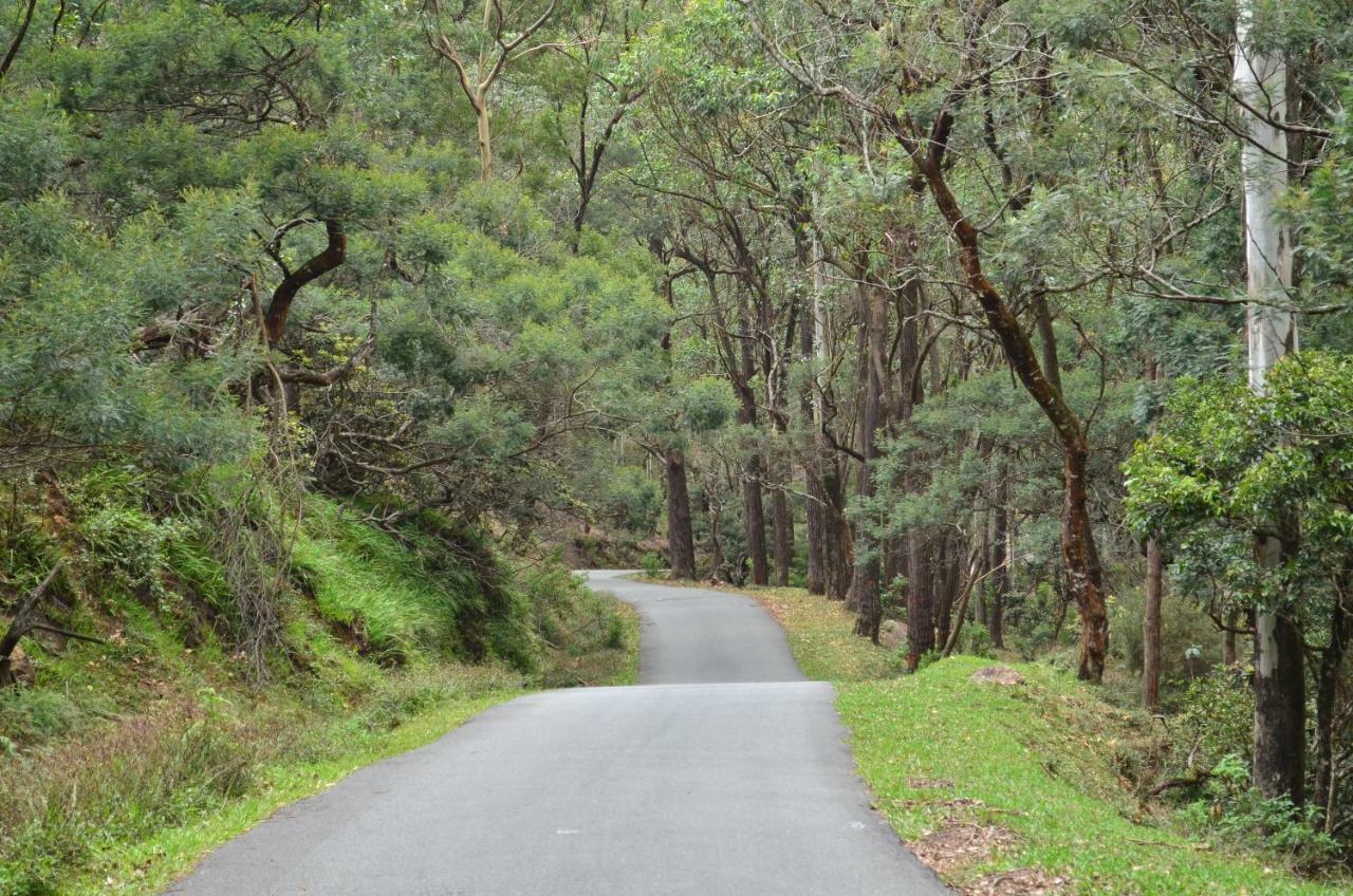 Yensfield Blackpool Nuwara Eliya Exteriör bild