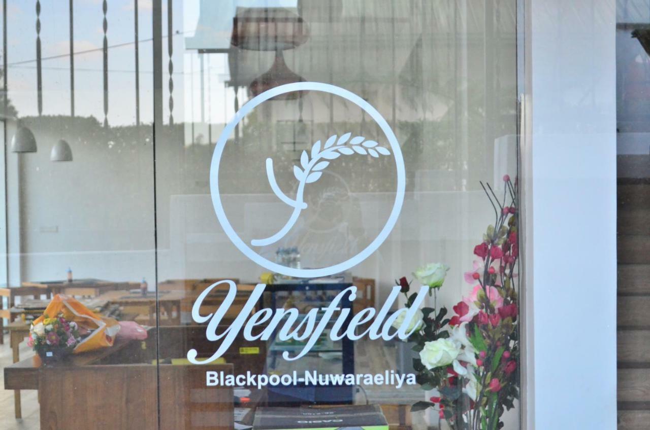 Yensfield Blackpool Nuwara Eliya Exteriör bild