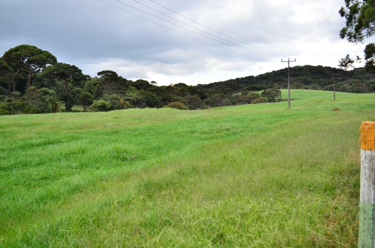 Yensfield Blackpool Nuwara Eliya Exteriör bild