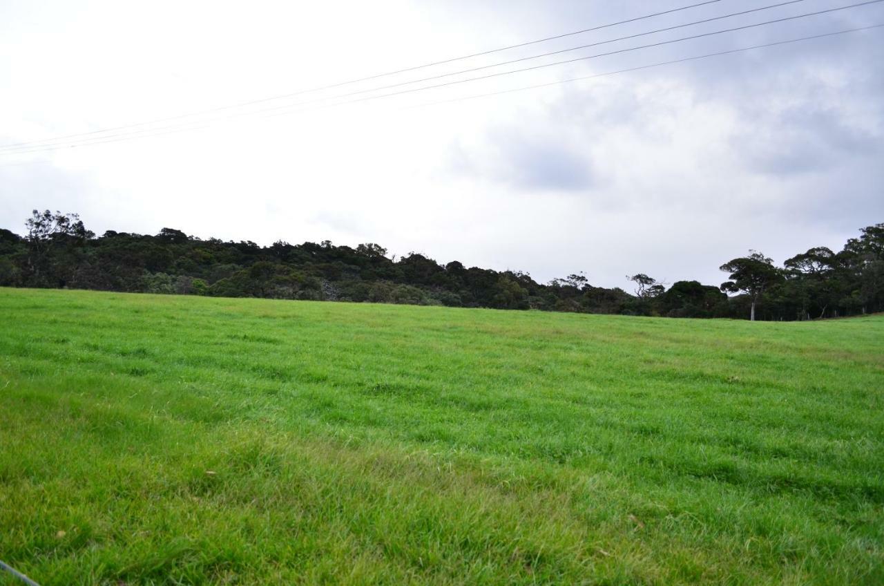 Yensfield Blackpool Nuwara Eliya Exteriör bild